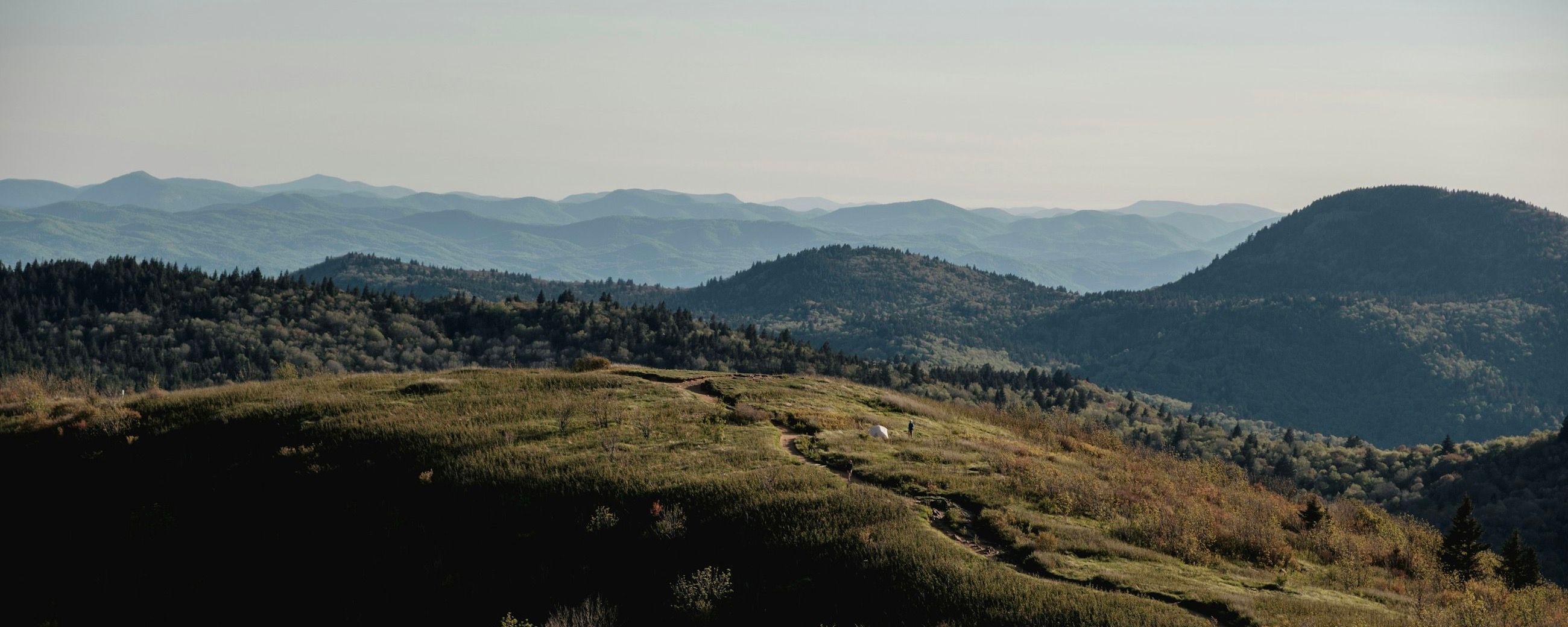 A grassy high meadow with hazy layered ridgelines behind it in the Blue Ridge Mountains